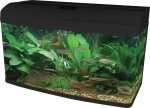 Aqua One AquaStyle AR980 Aquarium Black 215L For Sale