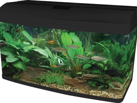 Aqua One AquaStyle AR980 Aquarium Black 215L For Sale