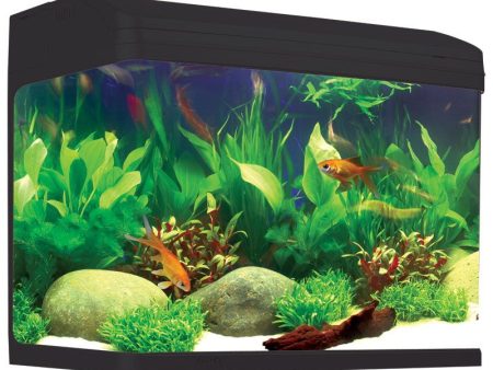 Aqua One AR620 AquaStyle Aquarium Black 90L For Sale