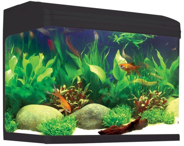 Aqua One AR620 AquaStyle Aquarium Black 90L For Sale