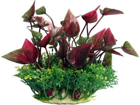 Aqua One Ecoscape Small Red Lily Online