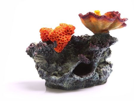 Aqua One Chalice and Sun Corals Medium For Sale