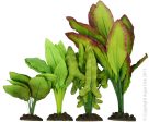 Aqua One Silk Plant Mix #5 4 Pack Sale