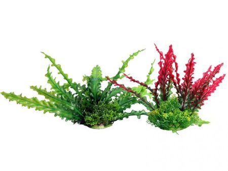 Aqua One Ecoscape Medium Ruffled Lace Red Planter For Sale