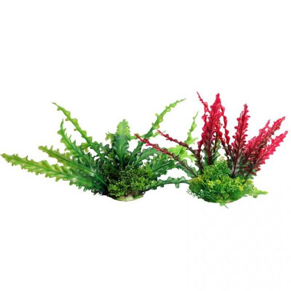 Aqua One Ecoscape Medium Ruffled Lace Red Planter For Sale