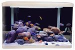 Aqua One Lifestyle 127 Aquarium White 127L Hot on Sale