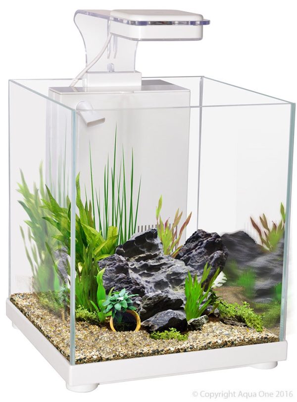 Aqua One Betta Sanctuary Glass Aquarium White 10L Hot on Sale