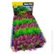 Aqua One Ecoscape Foreground Catspaw Pk Hairgrass GN Mix Punnet Single Fashion