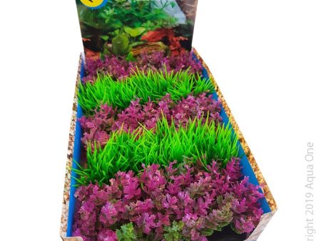 Aqua One Ecoscape Foreground Catspaw Pk Hairgrass GN Mix Punnet Single Fashion