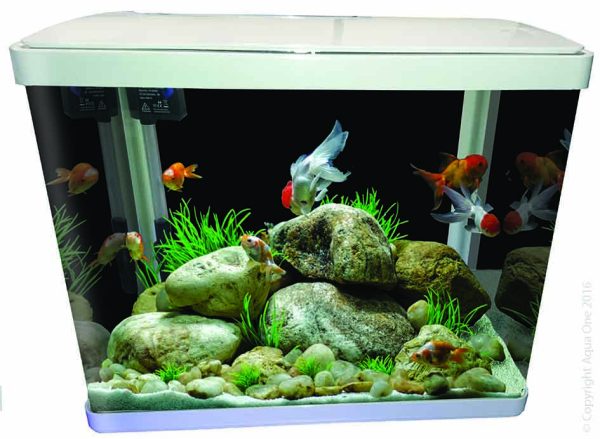 Aqua One Lifestyle 52 Aquarium White 52L Sale