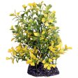 Aqua One Ecoscape Medium Japanese Box Yellow Planter Online