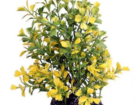 Aqua One Ecoscape Medium Japanese Box Yellow Planter Online