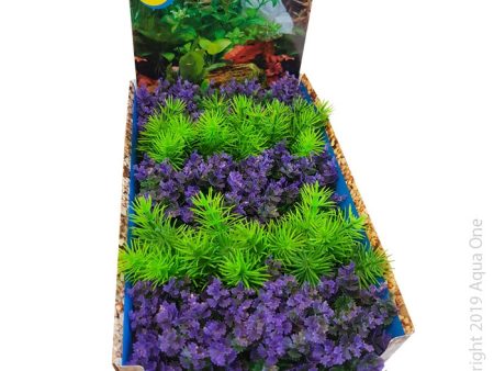 Aqua One Ecoscape Foreground Catspaw Pu Ambulia GN Mix Punnet Single Hot on Sale