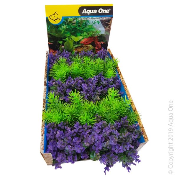 Aqua One Ecoscape Foreground Catspaw Pu Ambulia GN Mix Punnet Single Hot on Sale