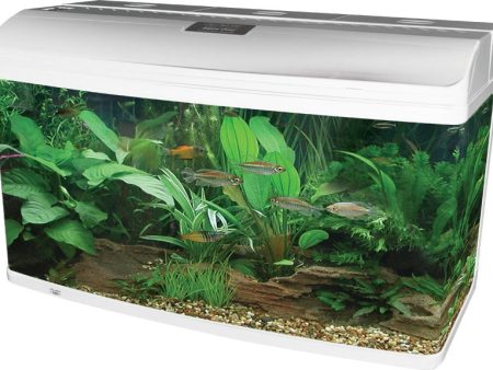 Aqua One AquaStyle AR980 Aquarium White 215L For Discount