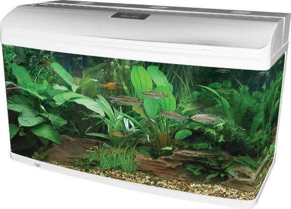 Aqua One AquaStyle AR980 Aquarium White 215L For Discount