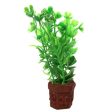 Aqua One Betta Pot Plant Mixed Green Plants Discount