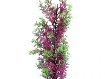 Aqua One Ecoscape Large Cabomba Pink Planter Fashion