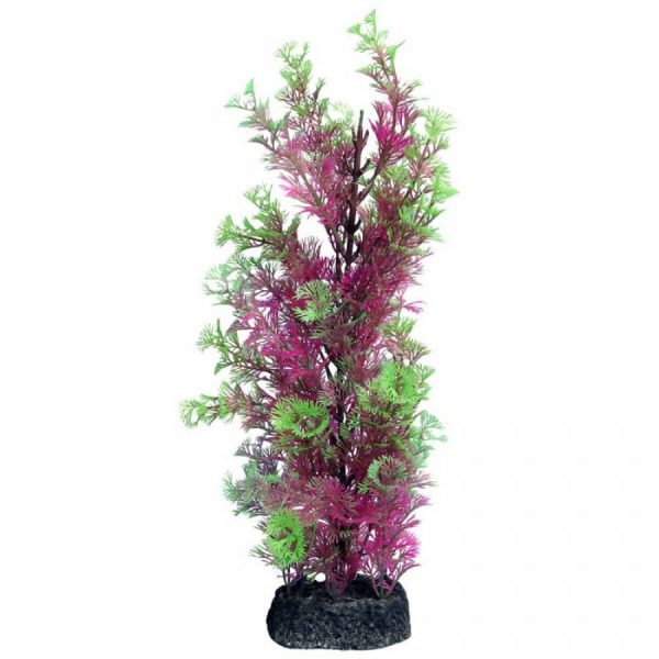 Aqua One Ecoscape Large Cabomba Pink Planter Fashion