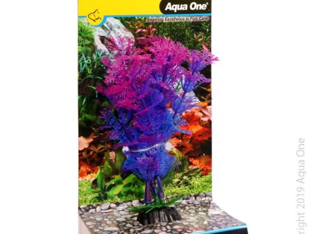 Aqua One Bettascape Betta Ambulia Purple Online