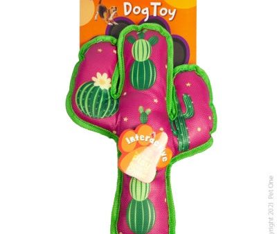 Pet One Interactive Squeaky Watermelon Cactus 30cm Online now