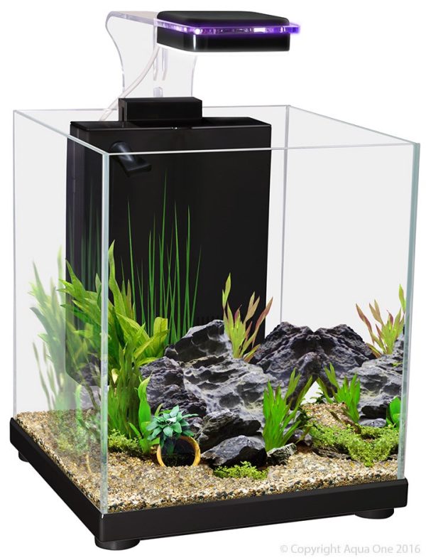 Aqua One Betta Sanctuary Glass Aquarium Black 10L For Discount