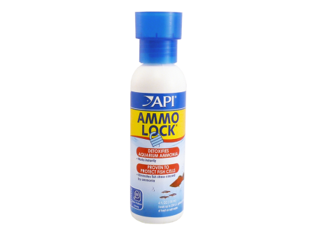 API Ammo Lock Online Sale