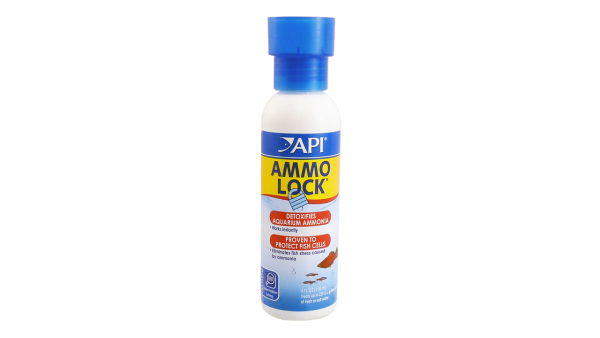 API Ammo Lock Online Sale