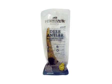 Platinum Ranch Deer Antler Medium Fashion