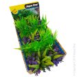 Aqua One Ecoscape Foreground Catspaw W Grass Pu Willow HygroMix Punnet Single Online Hot Sale