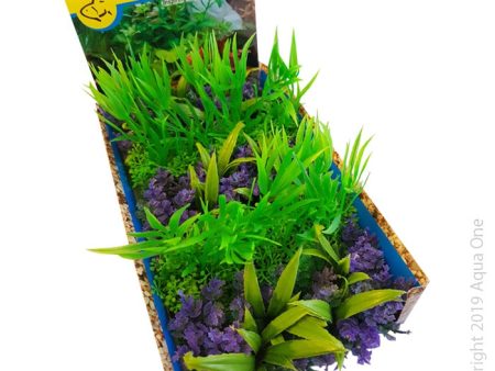 Aqua One Ecoscape Foreground Catspaw W Grass Pu Willow HygroMix Punnet Single Online Hot Sale