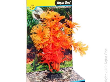 Aqua One Bettascape Betta Ambulia Orange Supply