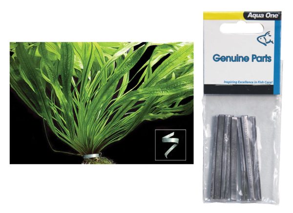 Aqua One Plant Weight 10 Pack Online