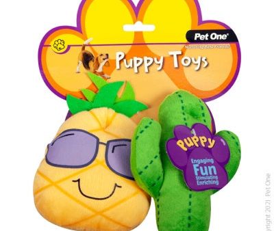 Pet One Puppy Cactus Family Assorted 2 Pack Online Hot Sale