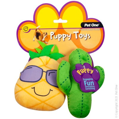 Pet One Puppy Cactus Family Assorted 2 Pack Online Hot Sale