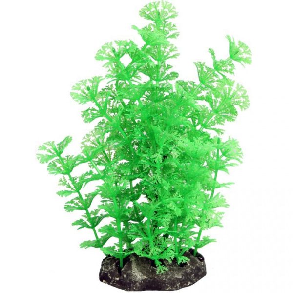 Aqua One Ecoscape Medium Ambulia Green Planter Cheap