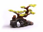 Aqua One Bonsai Large For Cheap