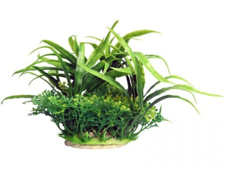 Aqua One Ecoscape Small Crinum Green Hot on Sale